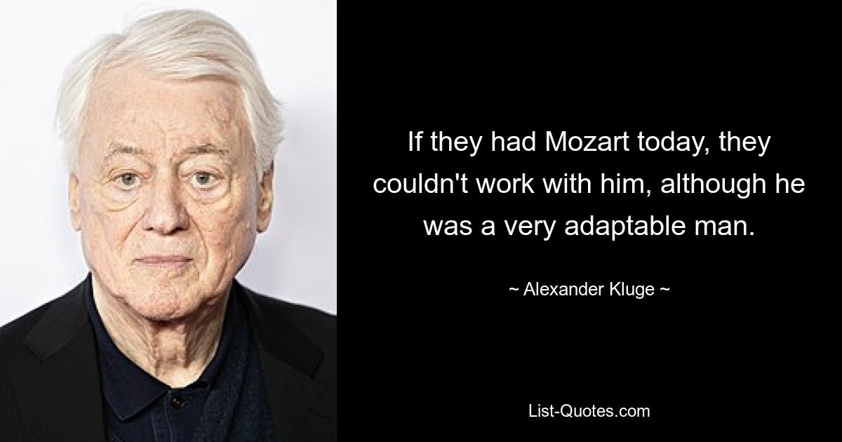 If they had Mozart today, they couldn't work with him, although he was a very adaptable man. — © Alexander Kluge