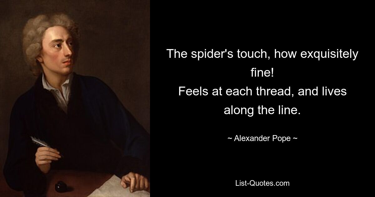 The spider's touch, how exquisitely fine!
Feels at each thread, and lives along the line. — © Alexander Pope