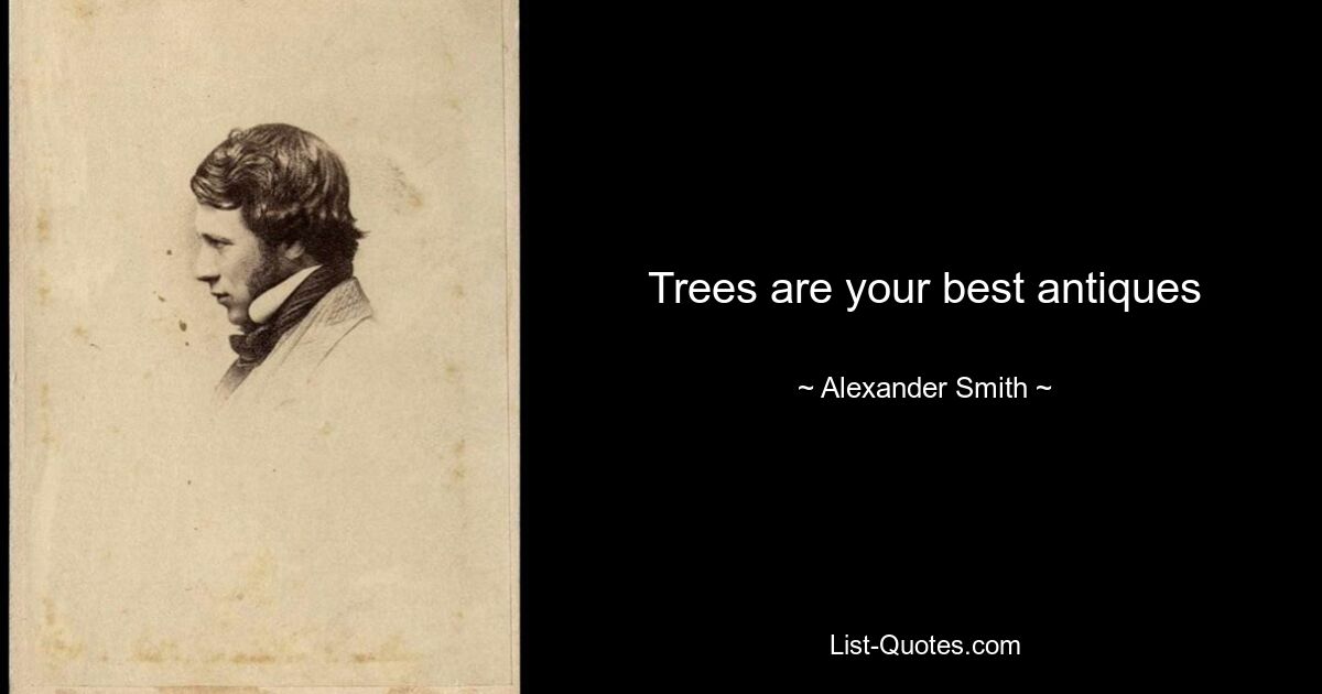 Trees are your best antiques — © Alexander Smith