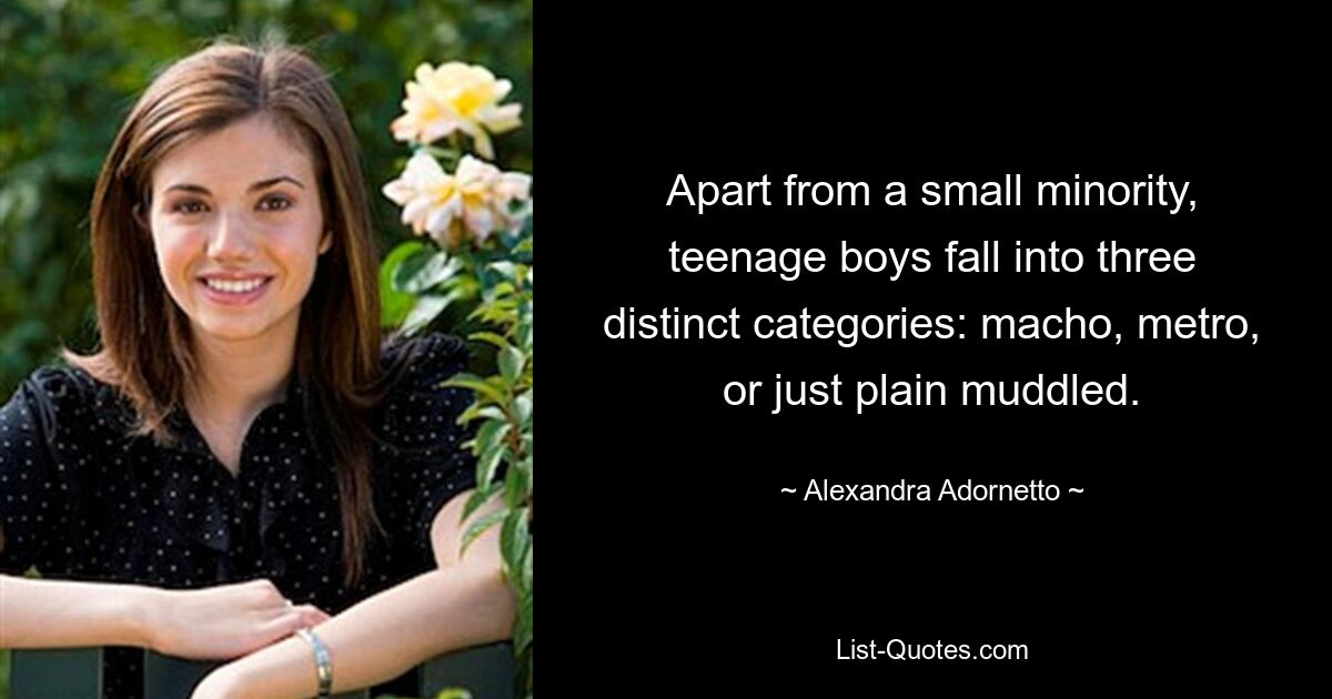 Apart from a small minority, teenage boys fall into three distinct categories: macho, metro, or just plain muddled. — © Alexandra Adornetto