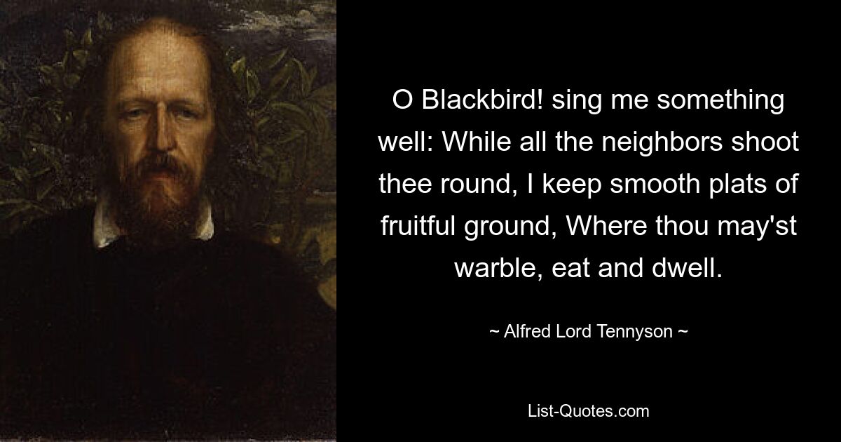 O Blackbird! sing me something well: While all the neighbors shoot thee round, I keep smooth plats of fruitful ground, Where thou may'st warble, eat and dwell. — © Alfred Lord Tennyson