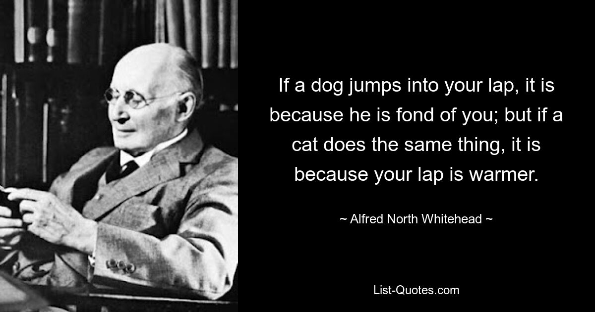 If a dog jumps into your lap, it is because he is fond of you; but if a cat does the same thing, it is because your lap is warmer. — © Alfred North Whitehead