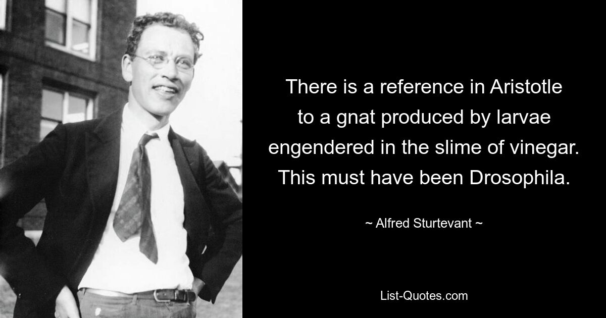 У Аристотеля есть упоминание о комаре, произведенном личинками, зародившимися в слизи уксуса. Должно быть, это была дрозофила. — © Альфред Стертевант 