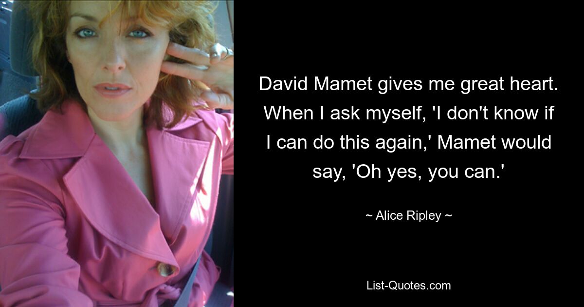 David Mamet gives me great heart. When I ask myself, 'I don't know if I can do this again,' Mamet would say, 'Oh yes, you can.' — © Alice Ripley