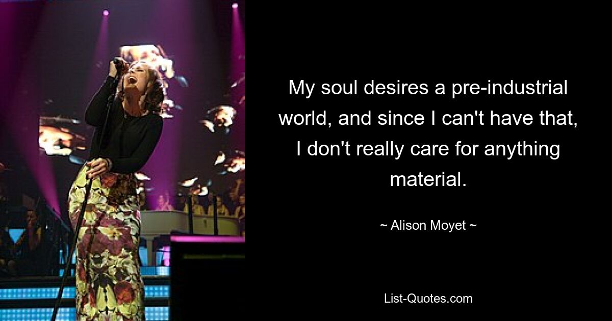 My soul desires a pre-industrial world, and since I can't have that, I don't really care for anything material. — © Alison Moyet