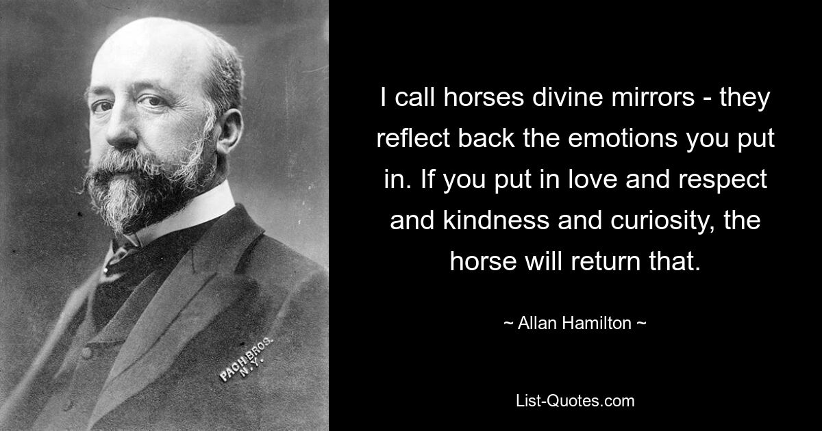 I call horses divine mirrors - they reflect back the emotions you put in. If you put in love and respect and kindness and curiosity, the horse will return that. — © Allan Hamilton