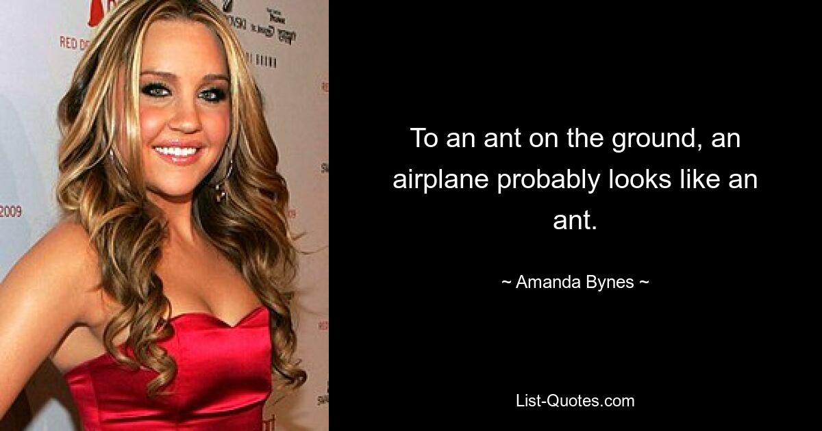 To an ant on the ground, an airplane probably looks like an ant. — © Amanda Bynes