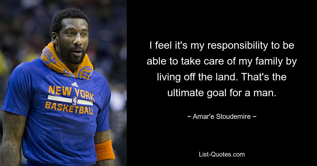 I feel it's my responsibility to be able to take care of my family by living off the land. That's the ultimate goal for a man. — © Amar'e Stoudemire