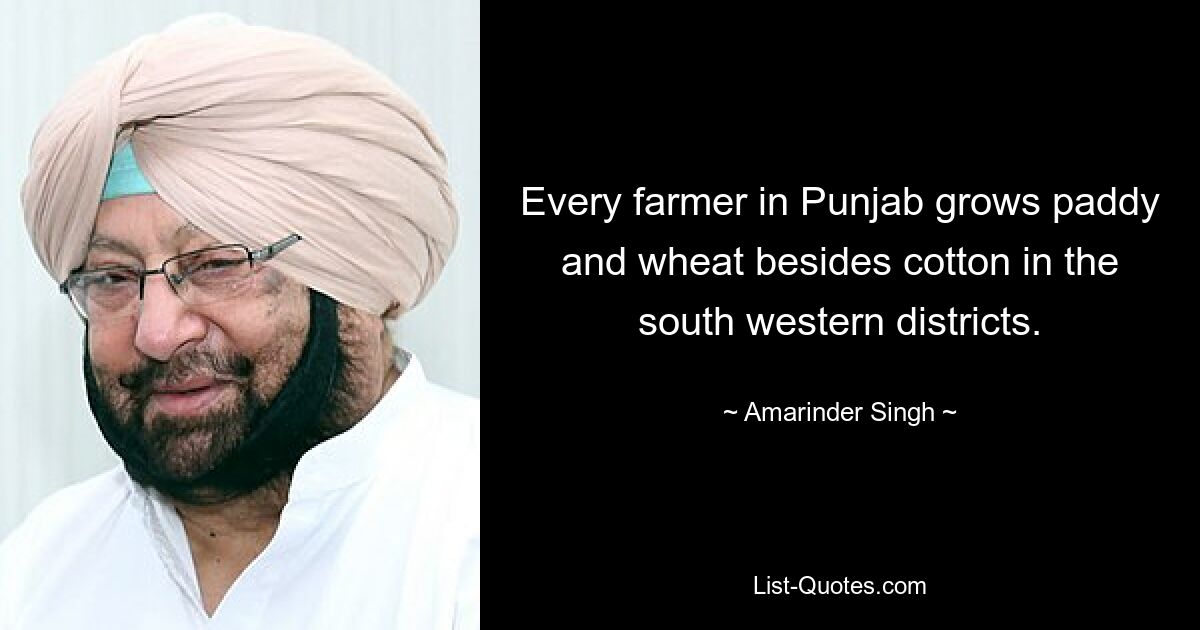 Every farmer in Punjab grows paddy and wheat besides cotton in the south western districts. — © Amarinder Singh