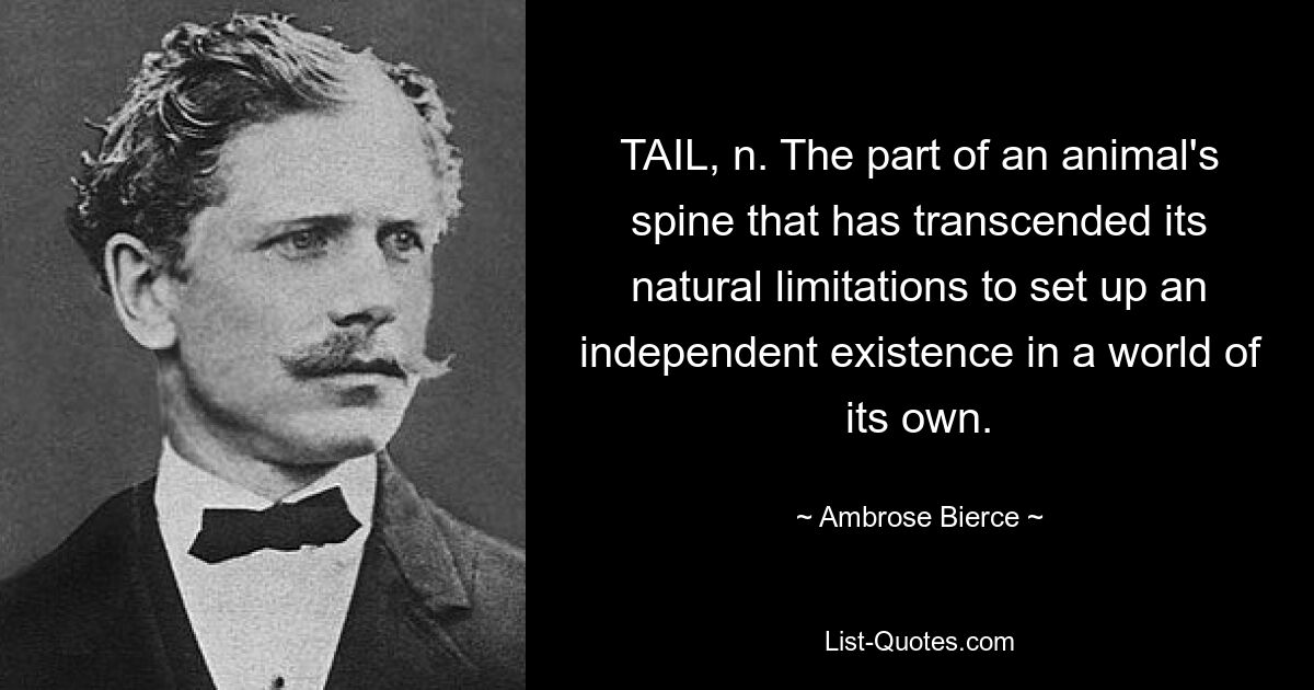 TAIL, n. The part of an animal's spine that has transcended its natural limitations to set up an independent existence in a world of its own. — © Ambrose Bierce