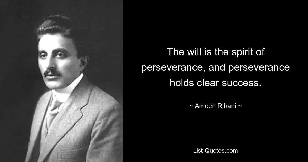 The will is the spirit of perseverance, and perseverance holds clear success. — © Ameen Rihani