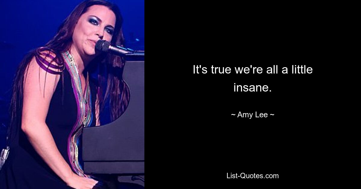 It's true we're all a little insane. — © Amy Lee