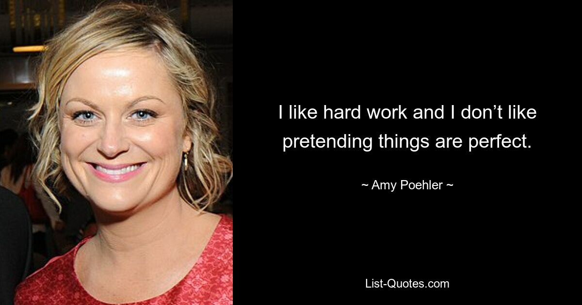 I like hard work and I don’t like pretending things are perfect. — © Amy Poehler