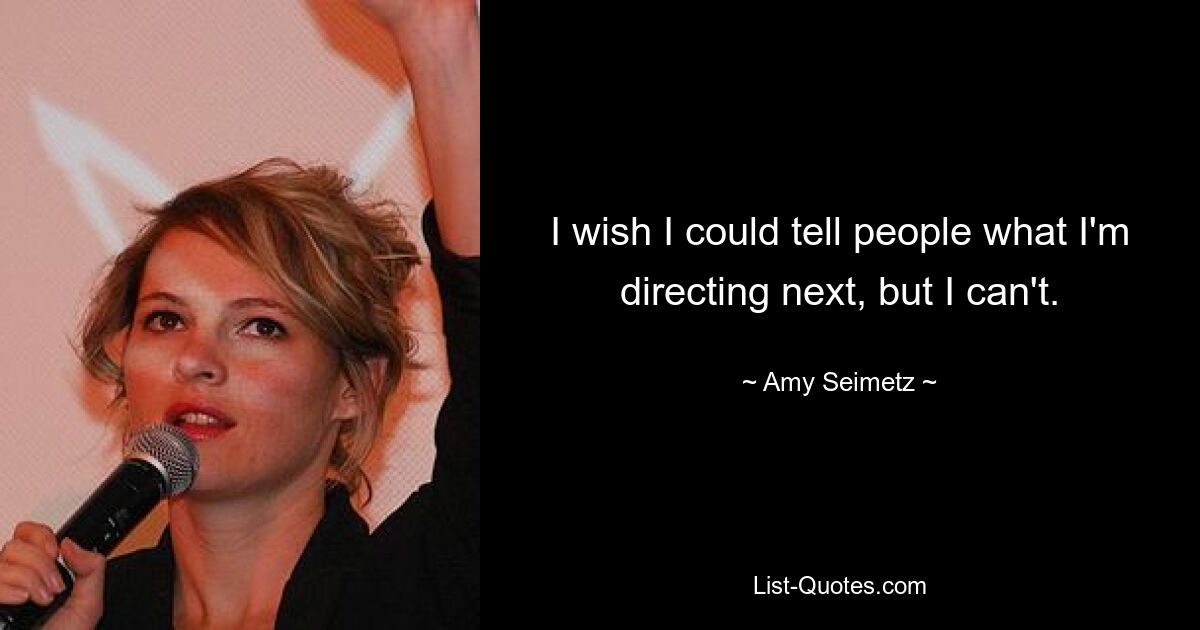 I wish I could tell people what I'm directing next, but I can't. — © Amy Seimetz