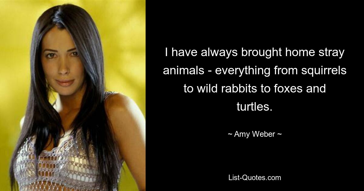 I have always brought home stray animals - everything from squirrels to wild rabbits to foxes and turtles. — © Amy Weber