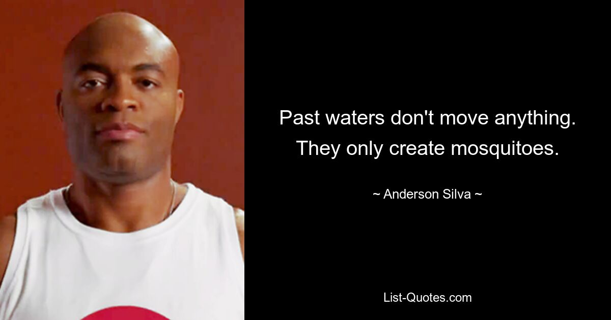 Past waters don't move anything. They only create mosquitoes. — © Anderson Silva