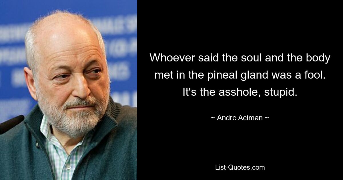 Whoever said the soul and the body met in the pineal gland was a fool. It's the asshole, stupid. — © Andre Aciman