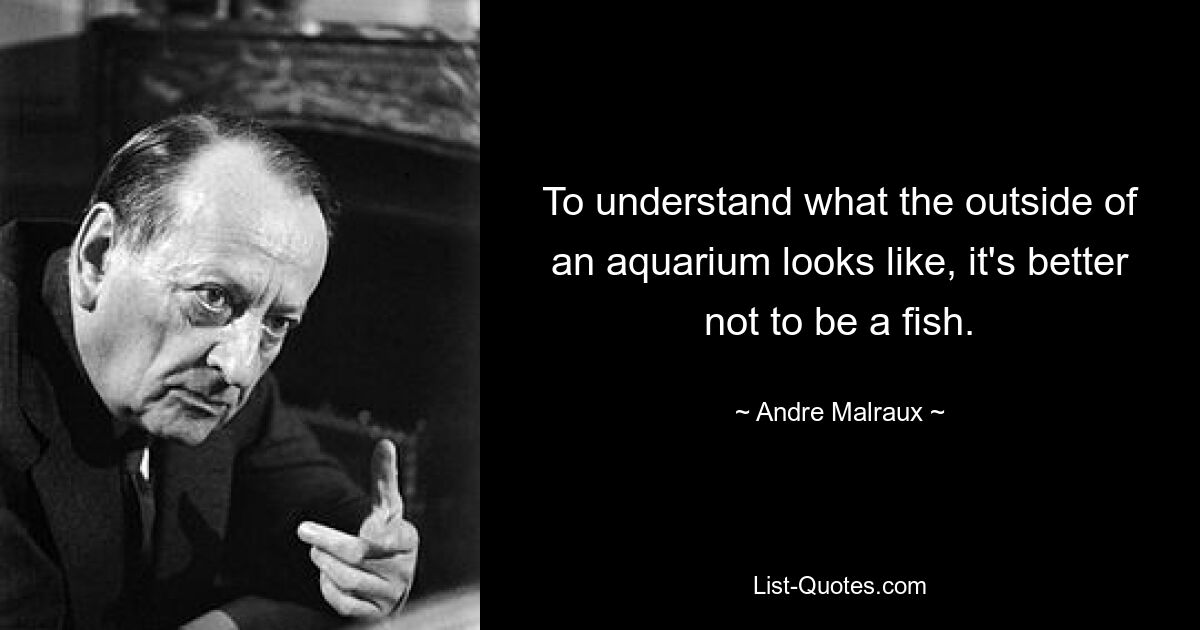 To understand what the outside of an aquarium looks like, it's better not to be a fish. — © Andre Malraux