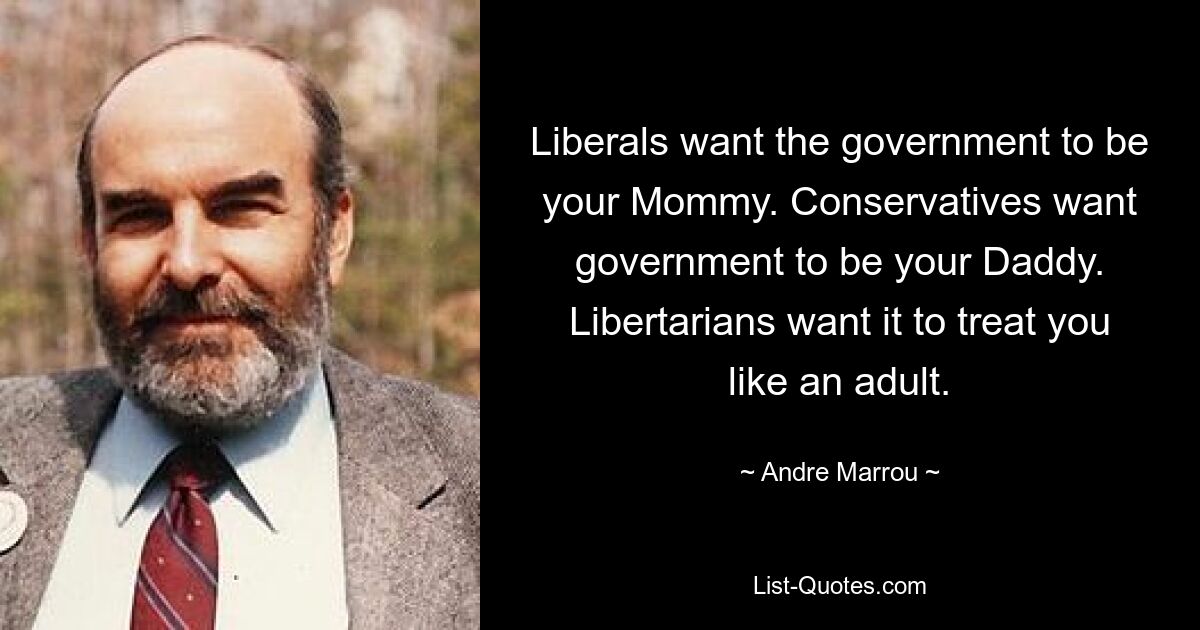 Liberals want the government to be your Mommy. Conservatives want government to be your Daddy. Libertarians want it to treat you like an adult. — © Andre Marrou