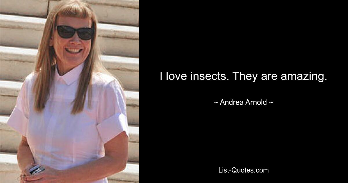 I love insects. They are amazing. — © Andrea Arnold