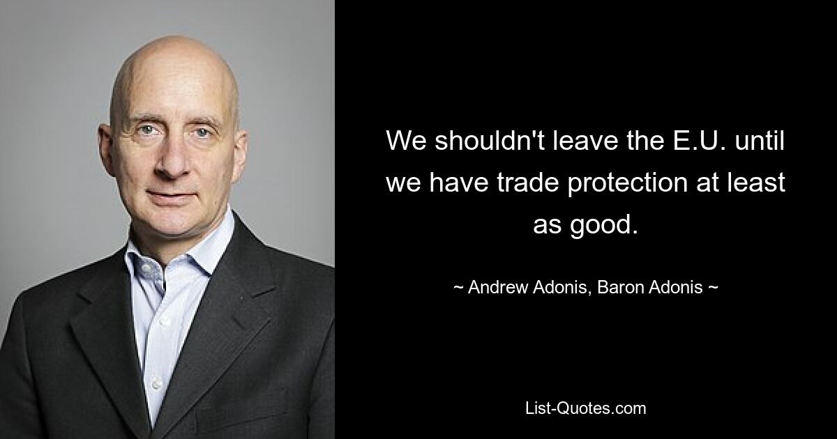 We shouldn't leave the E.U. until we have trade protection at least as good. — © Andrew Adonis, Baron Adonis