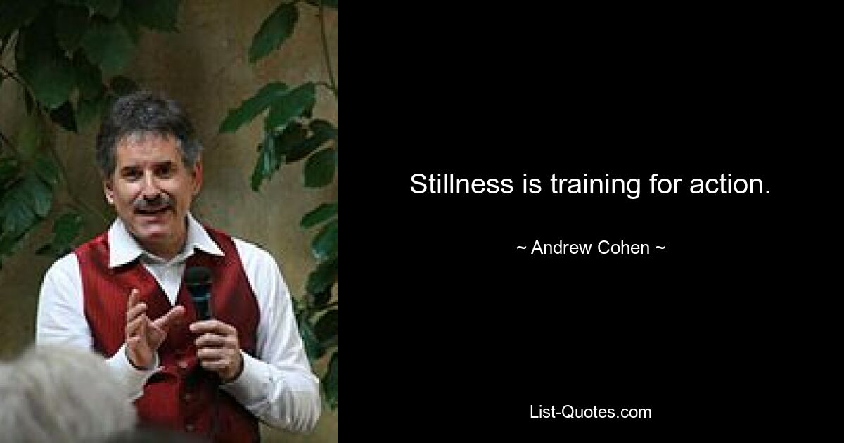 Stillness is training for action. — © Andrew Cohen