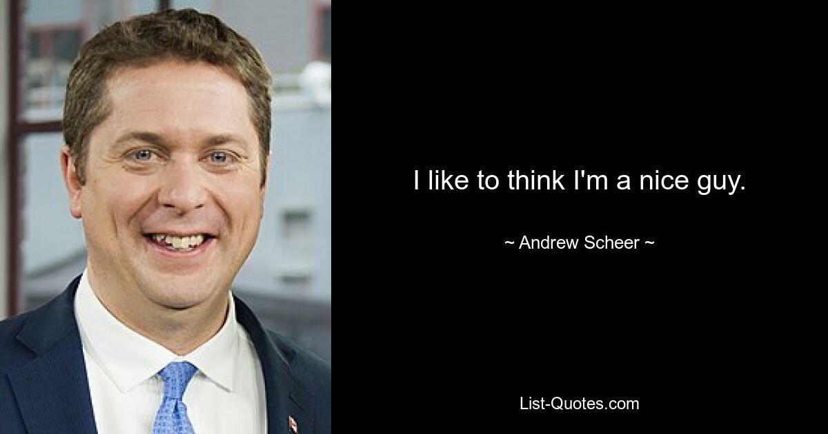 I like to think I'm a nice guy. — © Andrew Scheer