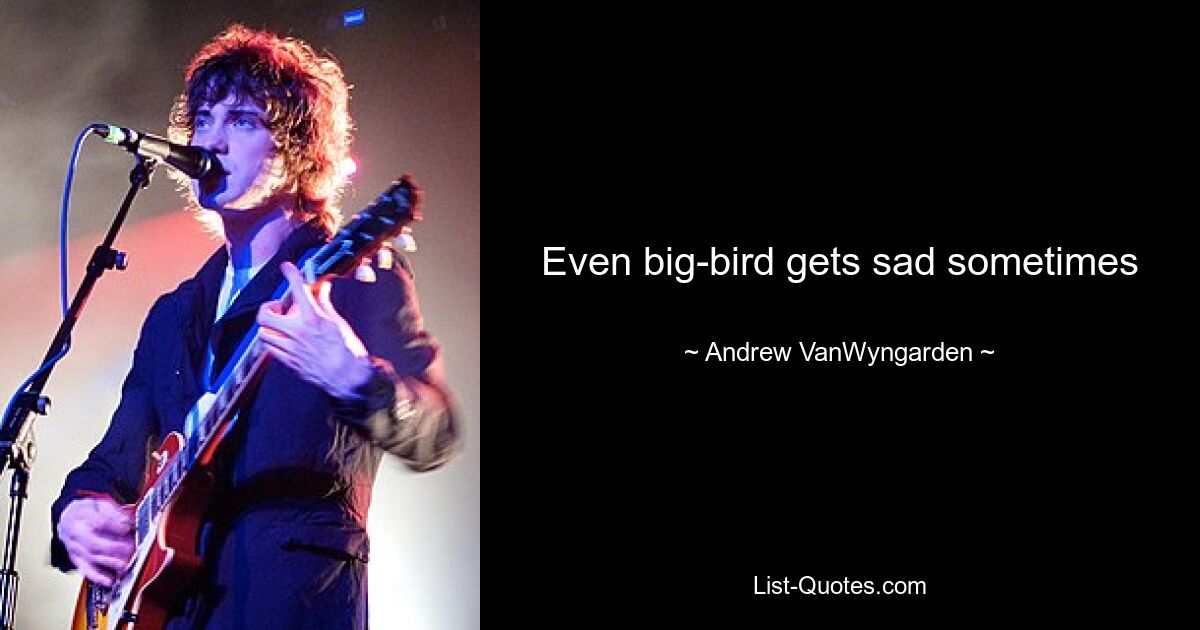 Even big-bird gets sad sometimes — © Andrew VanWyngarden