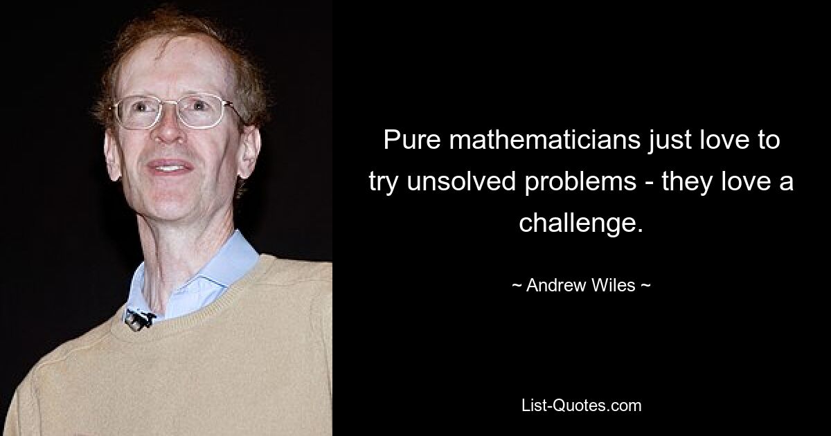 Pure mathematicians just love to try unsolved problems - they love a challenge. — © Andrew Wiles