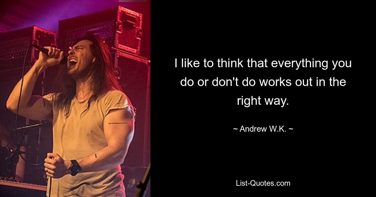 I like to think that everything you do or don't do works out in the right way. — © Andrew W.K.