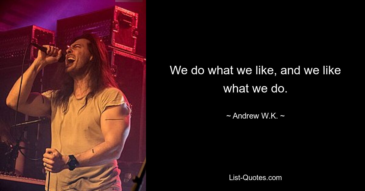 We do what we like, and we like what we do. — © Andrew W.K.