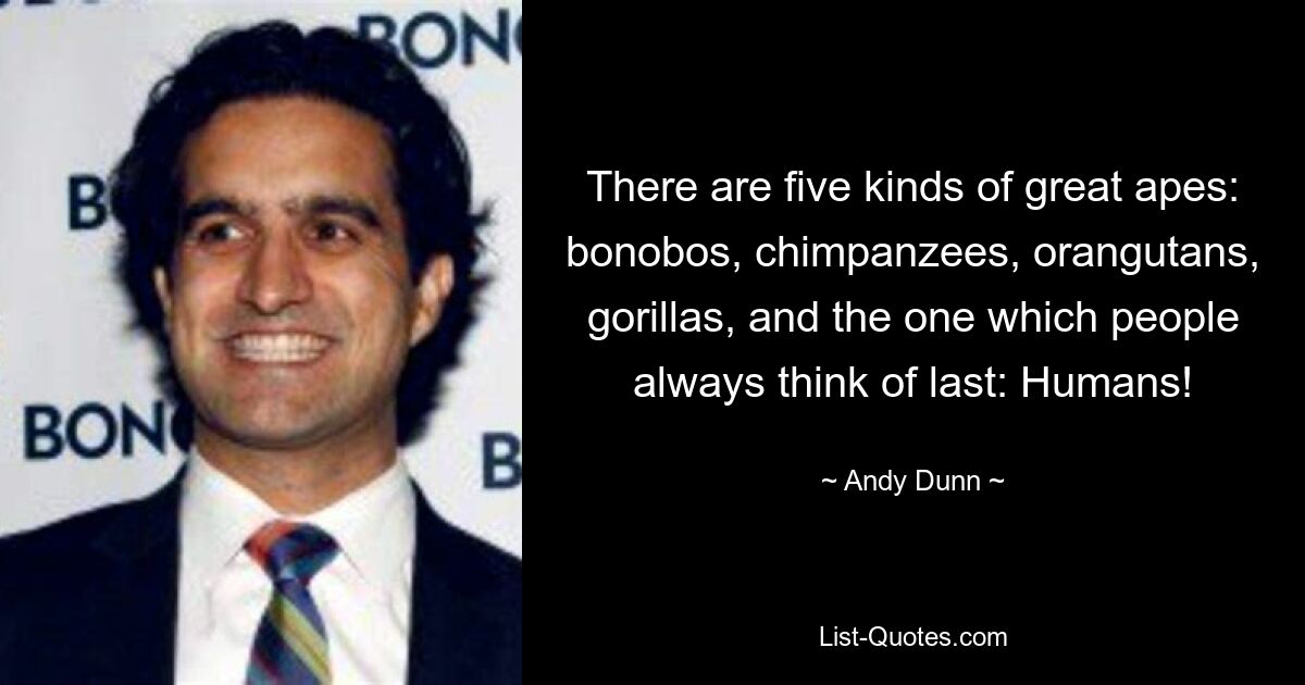 There are five kinds of great apes: bonobos, chimpanzees, orangutans, gorillas, and the one which people always think of last: Humans! — © Andy Dunn