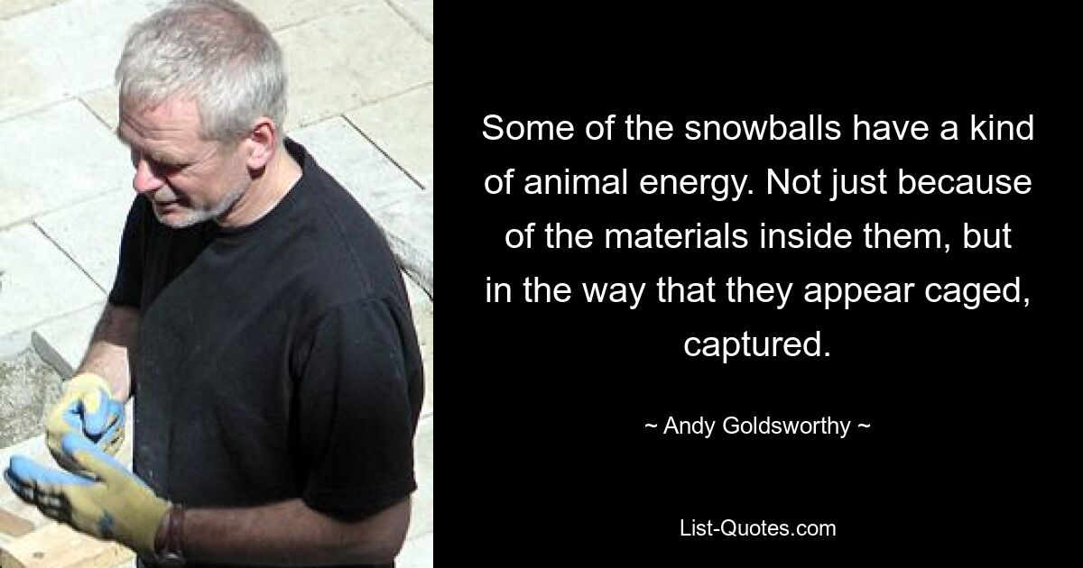 Some of the snowballs have a kind of animal energy. Not just because of the materials inside them, but in the way that they appear caged, captured. — © Andy Goldsworthy