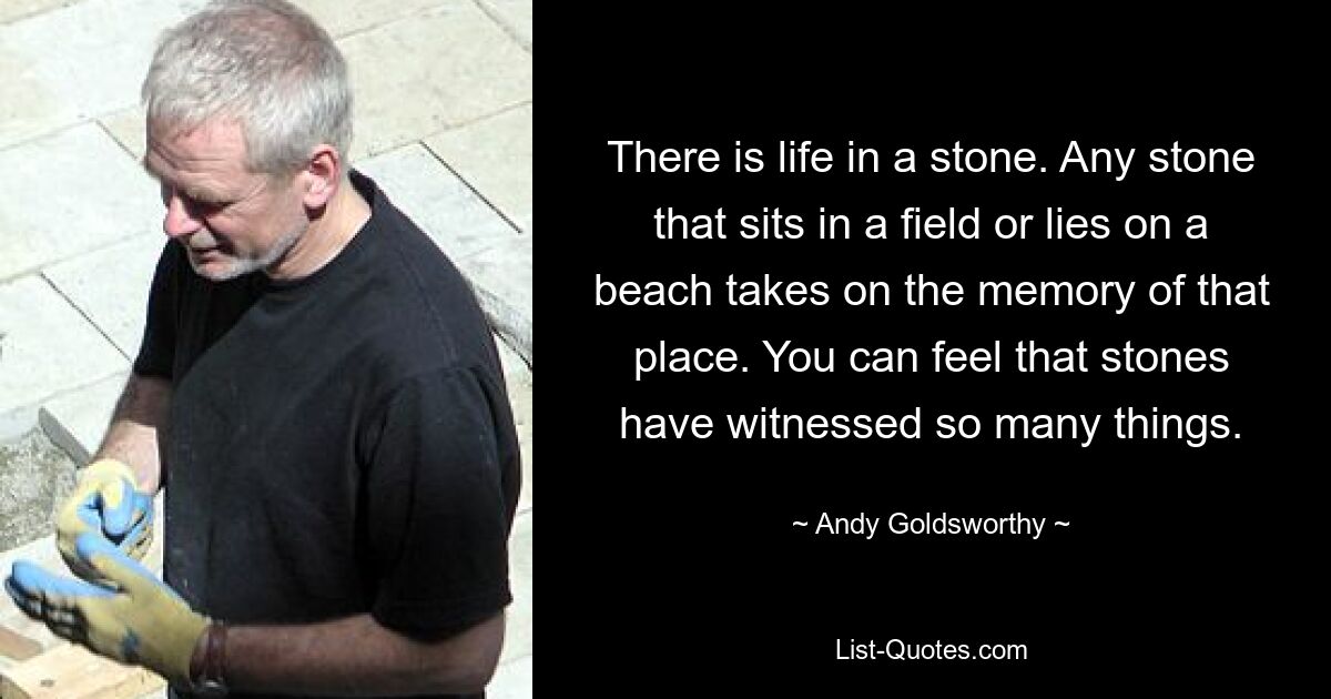 There is life in a stone. Any stone that sits in a field or lies on a beach takes on the memory of that place. You can feel that stones have witnessed so many things. — © Andy Goldsworthy