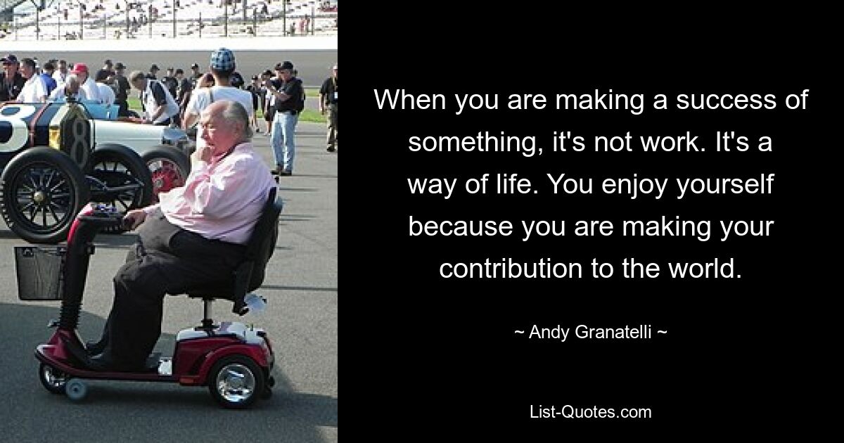 When you are making a success of something, it's not work. It's a way of life. You enjoy yourself because you are making your contribution to the world. — © Andy Granatelli