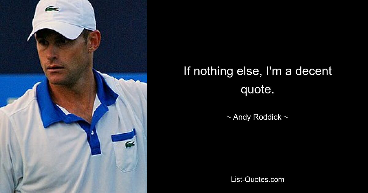 If nothing else, I'm a decent quote. — © Andy Roddick