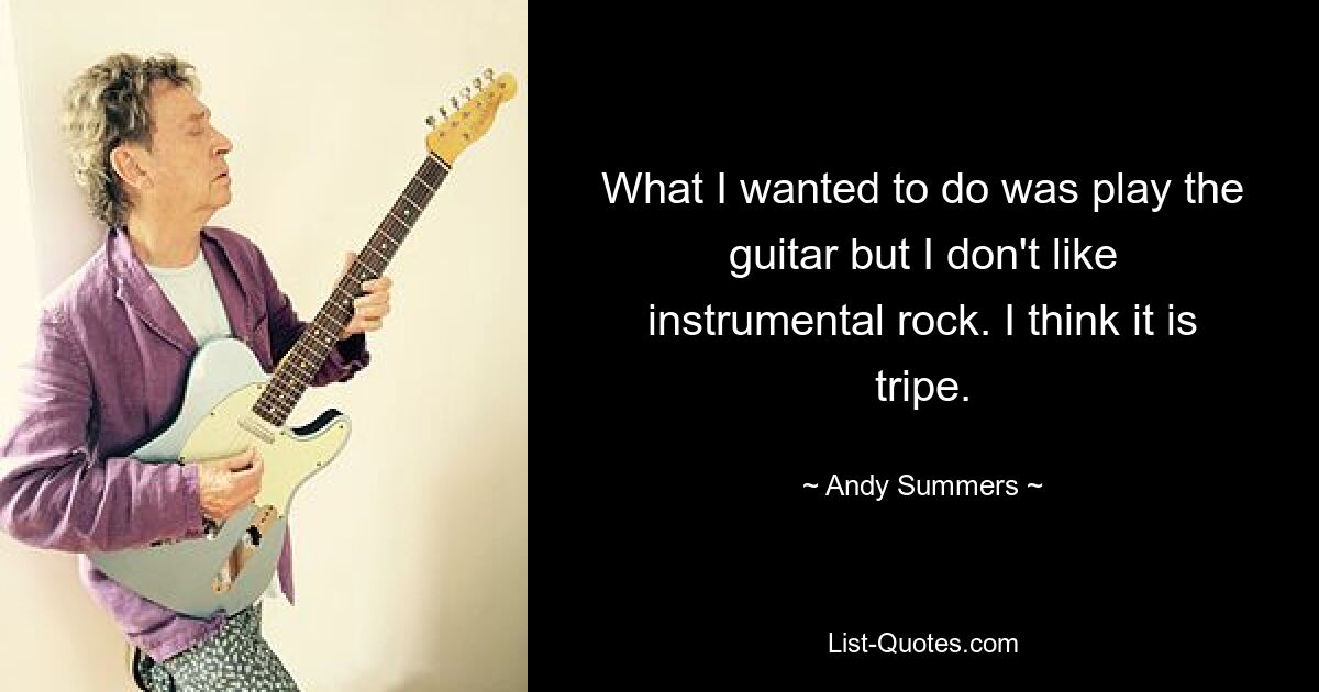 What I wanted to do was play the guitar but I don't like instrumental rock. I think it is tripe. — © Andy Summers