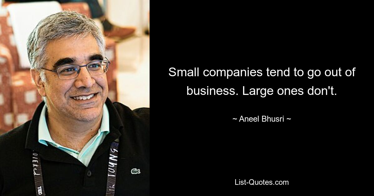 Small companies tend to go out of business. Large ones don't. — © Aneel Bhusri