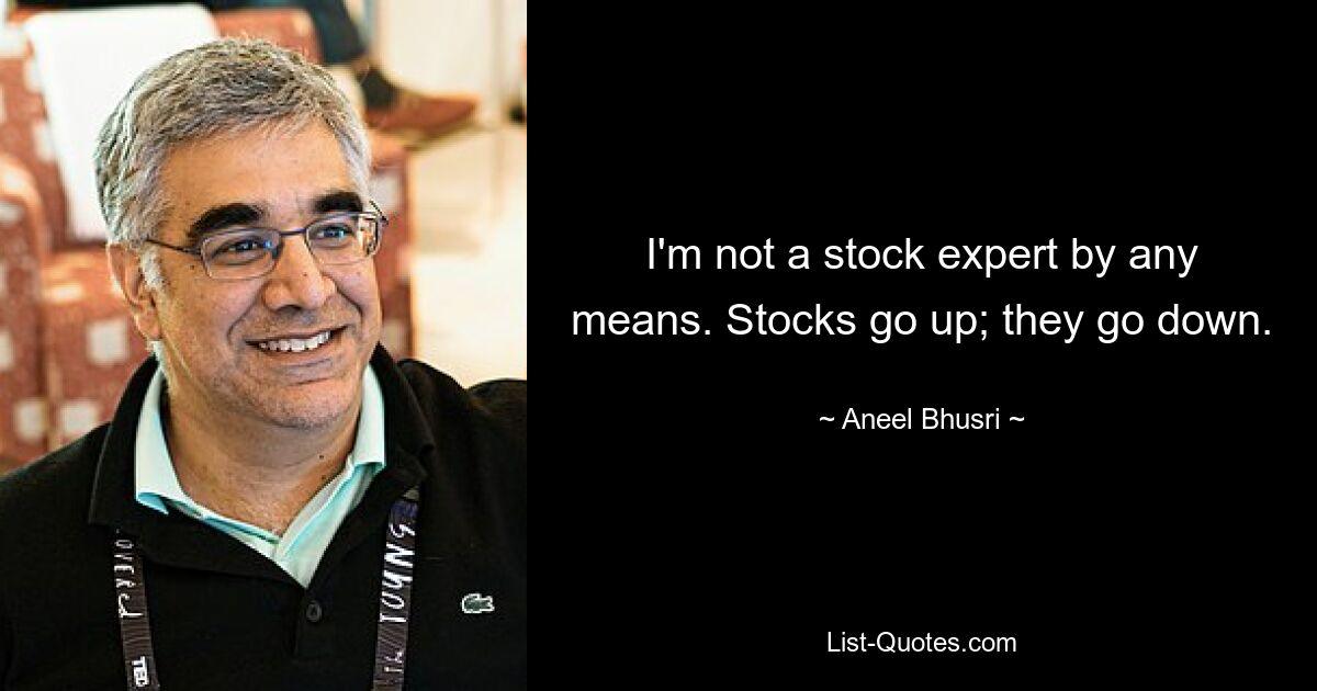 I'm not a stock expert by any means. Stocks go up; they go down. — © Aneel Bhusri