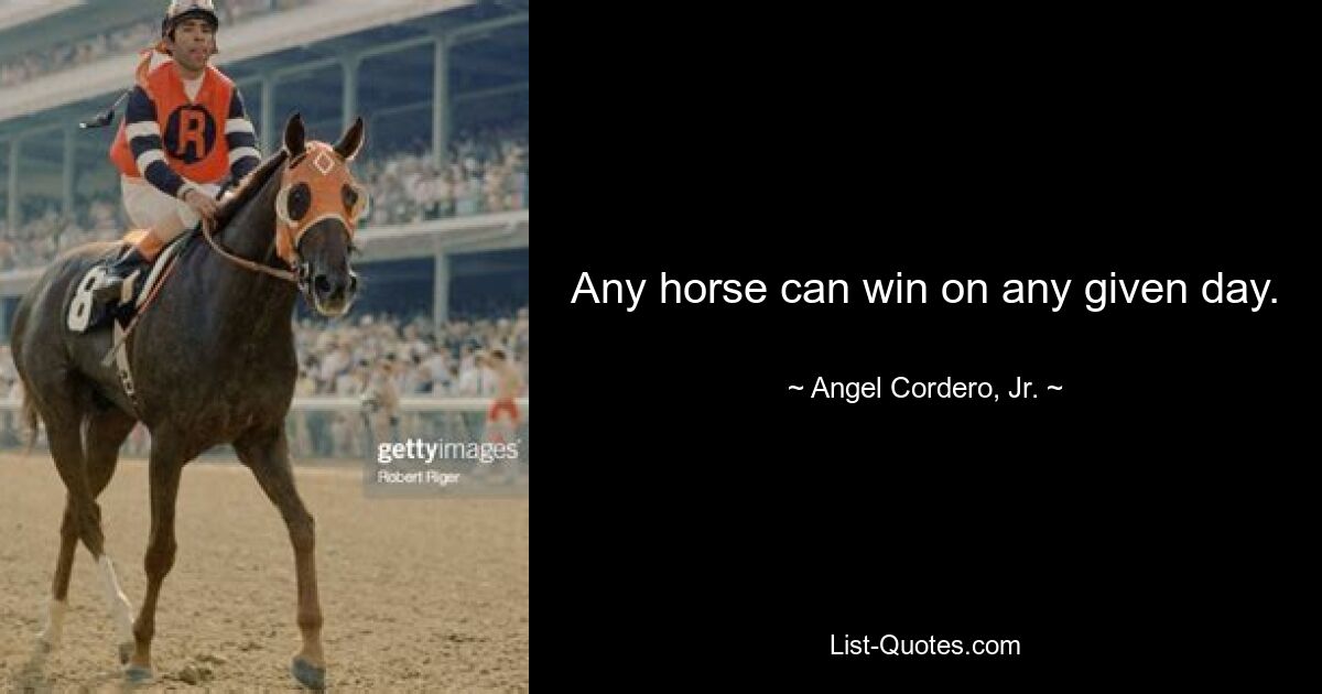 Any horse can win on any given day. — © Angel Cordero, Jr.