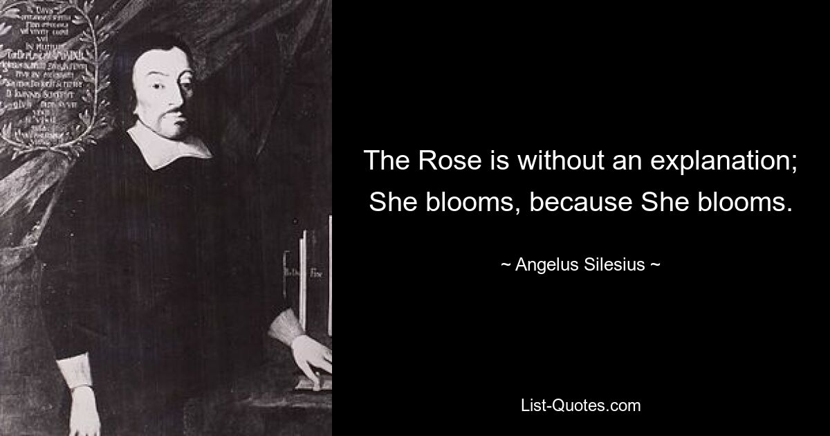 The Rose is without an explanation; She blooms, because She blooms. — © Angelus Silesius