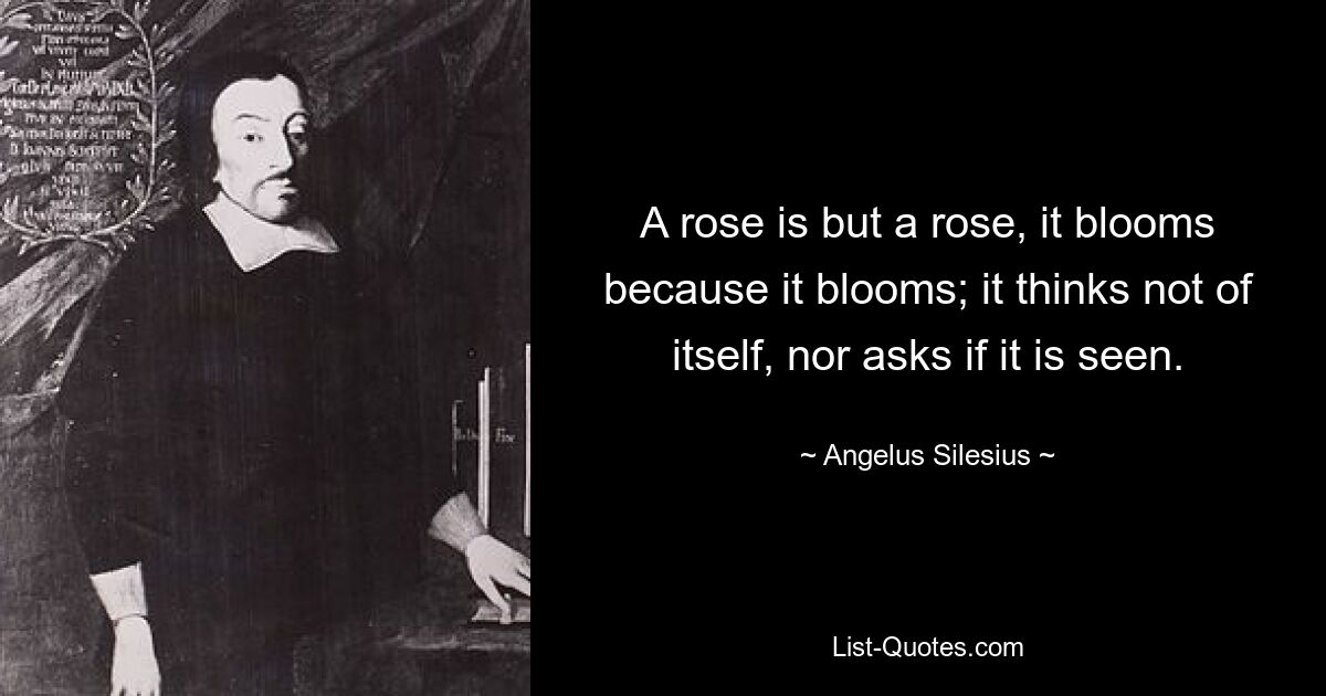 Роза — всего лишь роза, она цветет потому, что цветет; он не думает о себе и не спрашивает, видят ли его. — © Ангелус Силезиус