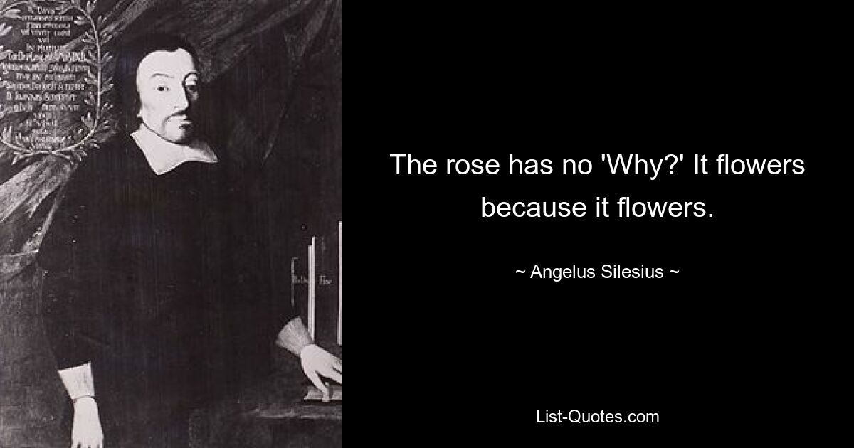 The rose has no 'Why?' It flowers because it flowers. — © Angelus Silesius