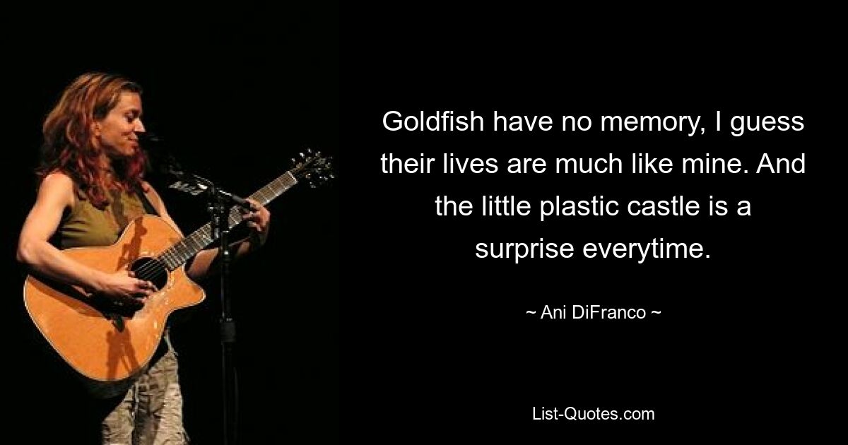 Goldfish have no memory, I guess their lives are much like mine. And the little plastic castle is a surprise everytime. — © Ani DiFranco