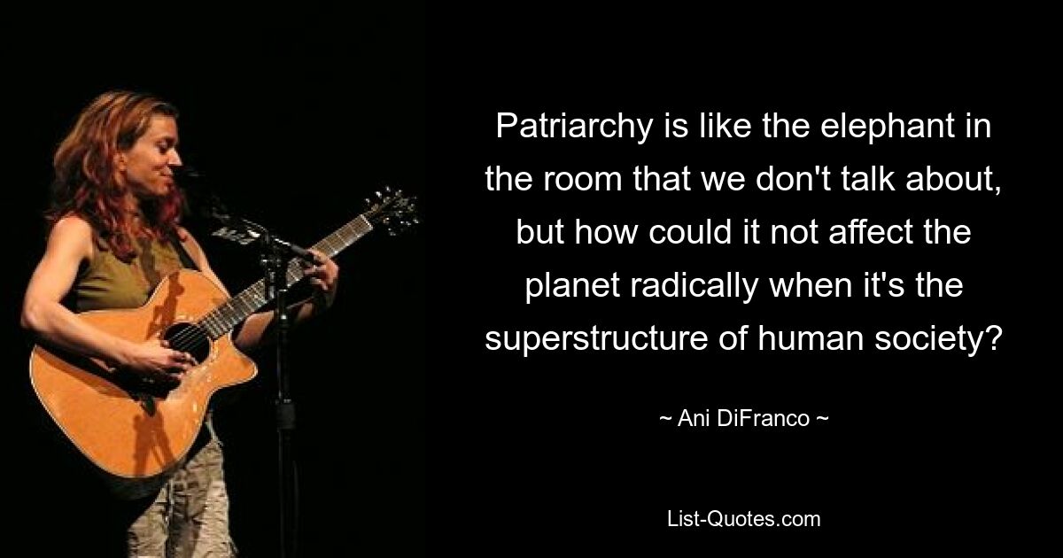 Patriarchy is like the elephant in the room that we don't talk about, but how could it not affect the planet radically when it's the superstructure of human society? — © Ani DiFranco