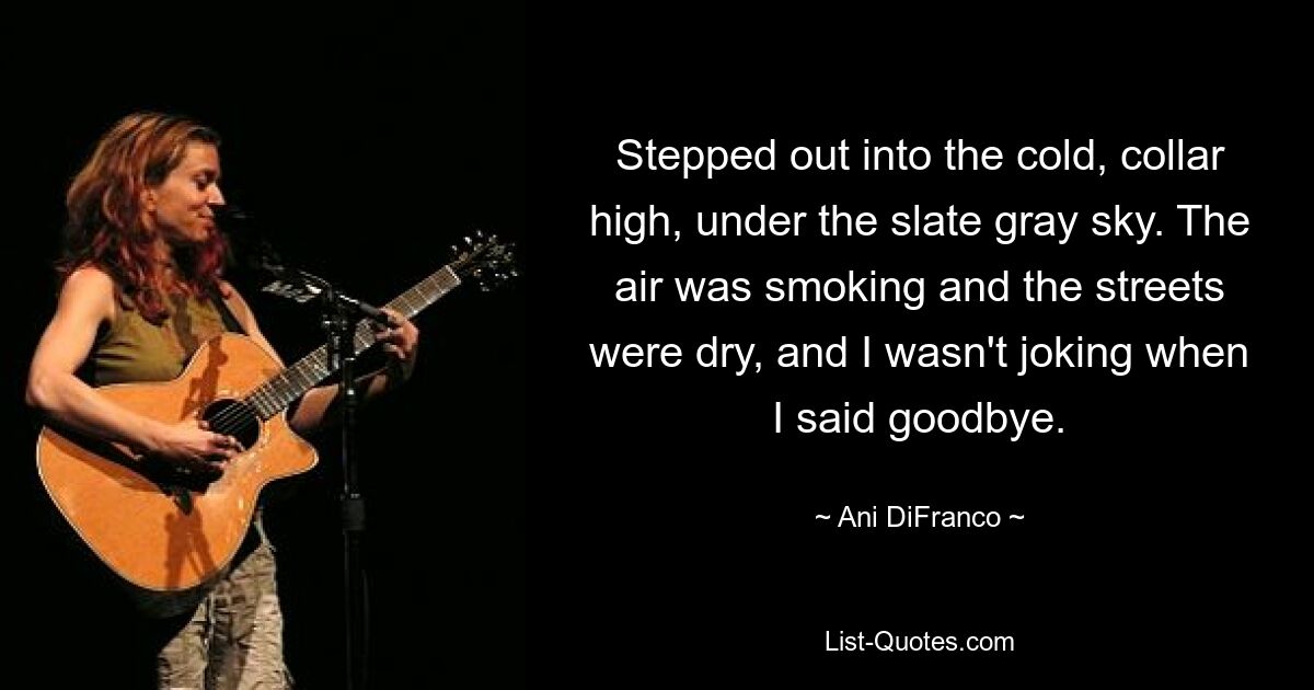 Stepped out into the cold, collar high, under the slate gray sky. The air was smoking and the streets were dry, and I wasn't joking when I said goodbye. — © Ani DiFranco