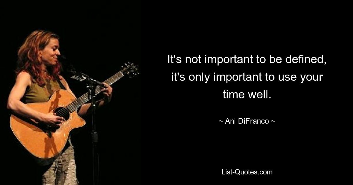 It's not important to be defined, it's only important to use your time well. — © Ani DiFranco