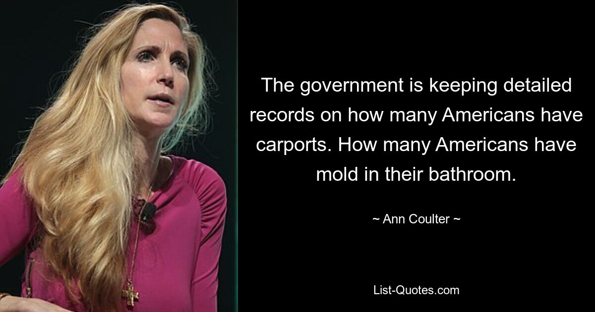 The government is keeping detailed records on how many Americans have carports. How many Americans have mold in their bathroom. — © Ann Coulter