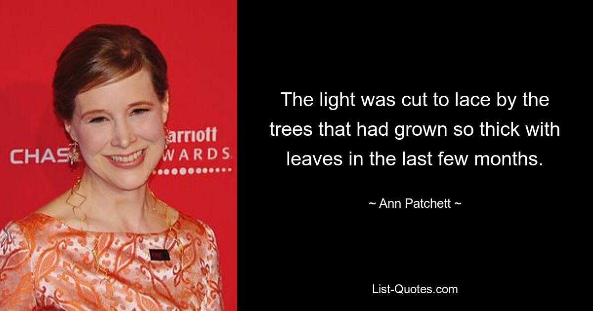 The light was cut to lace by the trees that had grown so thick with leaves in the last few months. — © Ann Patchett