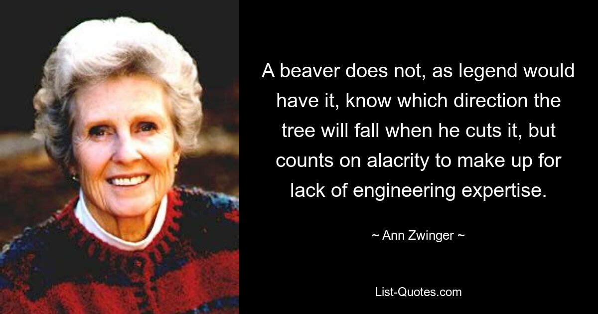 A beaver does not, as legend would have it, know which direction the tree will fall when he cuts it, but counts on alacrity to make up for lack of engineering expertise. — © Ann Zwinger